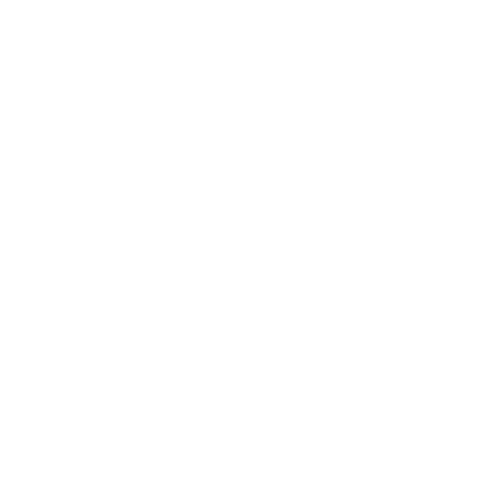 Cyber-Essentials-Plus-one white (1)
