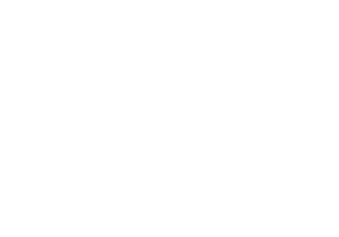 Salesforce-Logo-Reversed-Large (1)